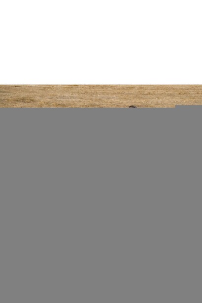 Kadın Fermuarlı Toka Detaylı Diz Altı Çizme Androsse  Beyaz Cilt  6